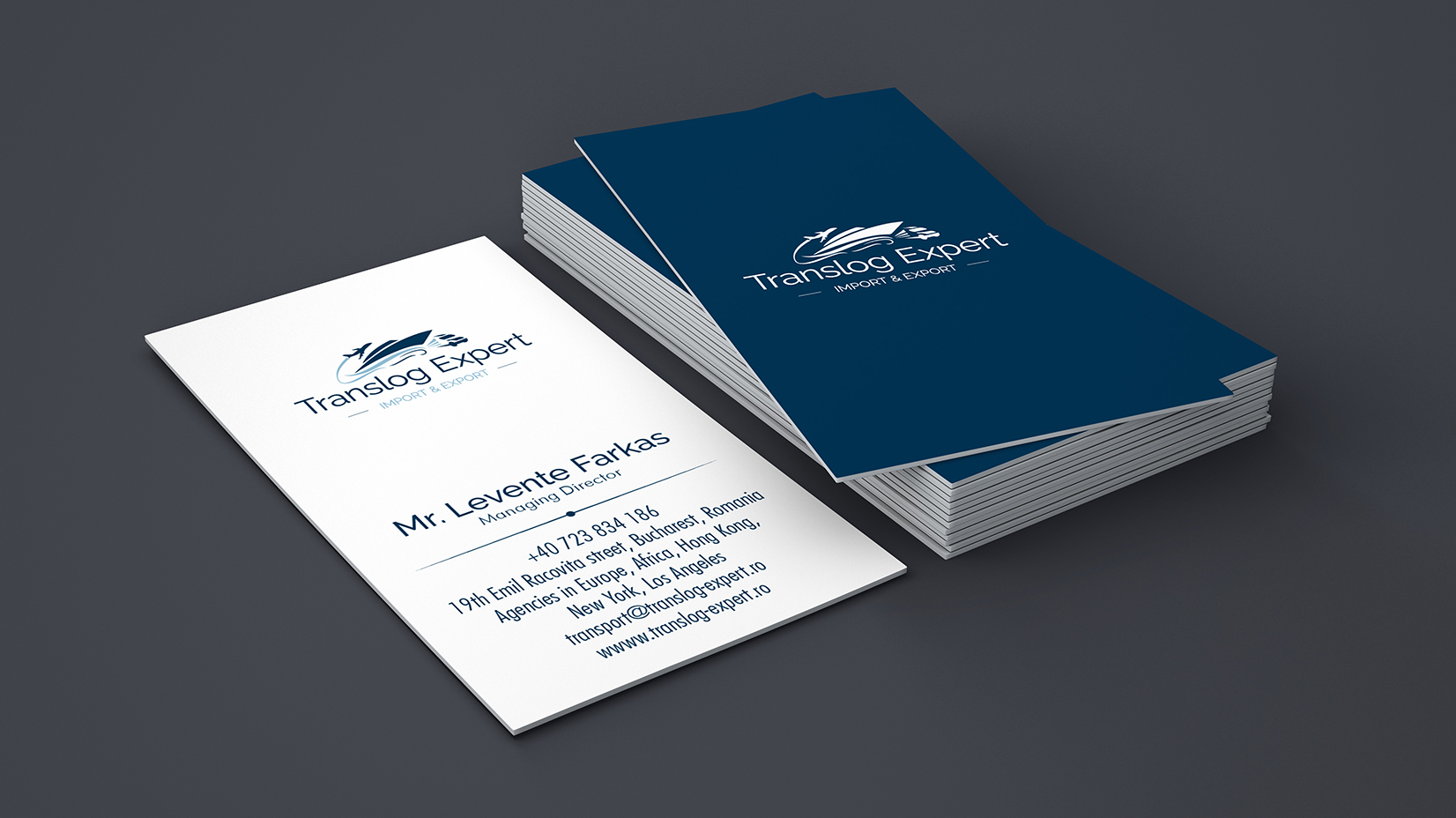 08 Translog Expert Brand Design — graphic design work by Fülöp Hunor