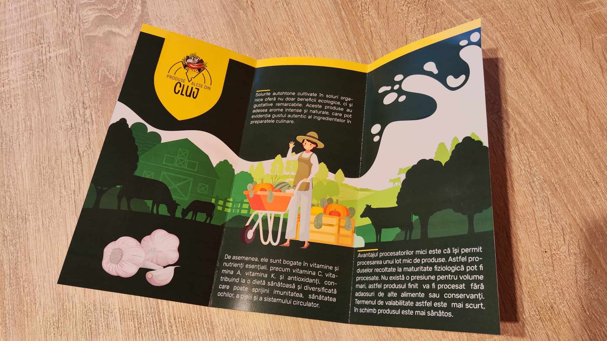 17 Produse Din Cluj Identity Design — graphic design work by Fülöp Hunor
